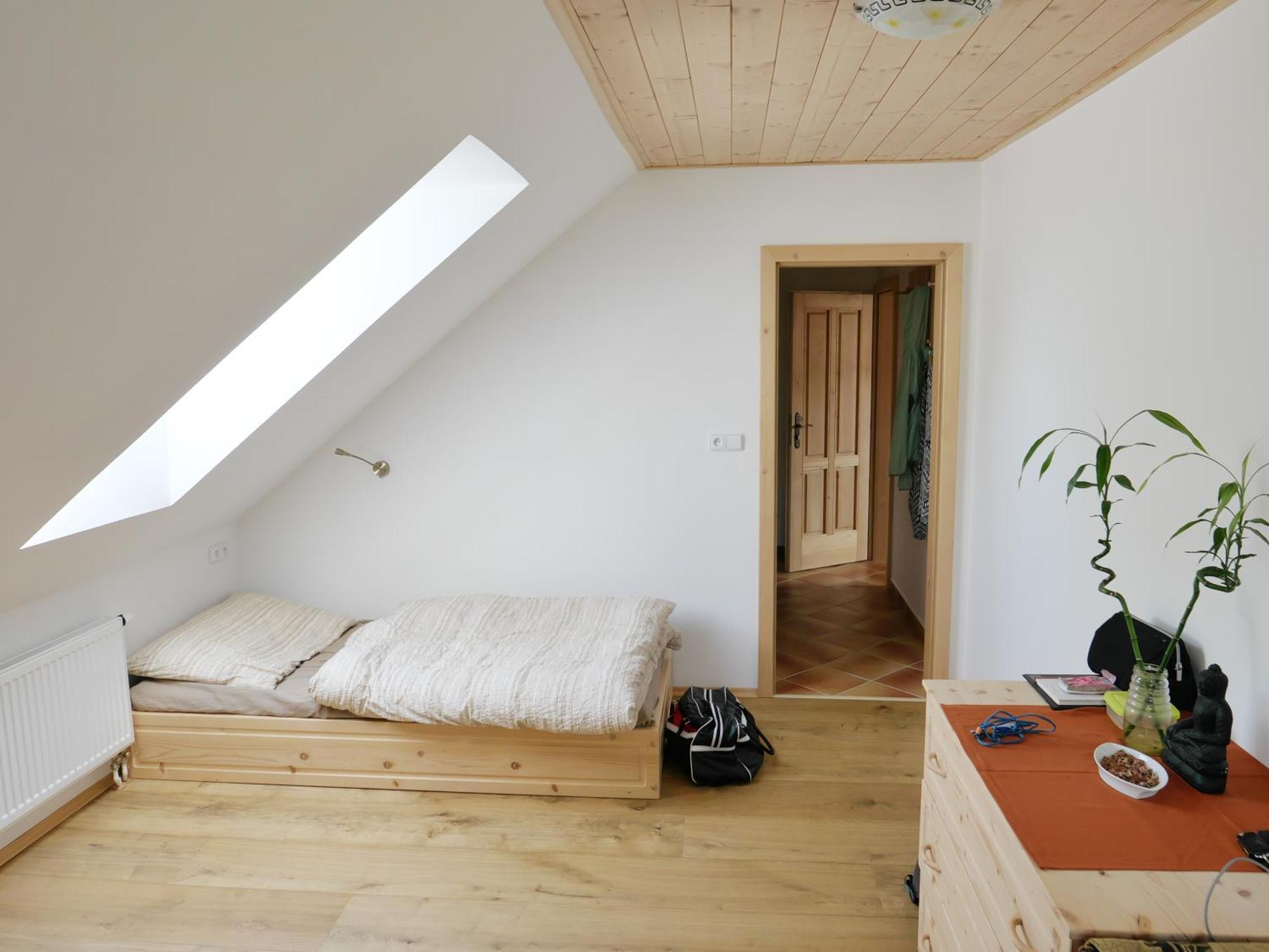 Yogashrama Traditional Usti nad Orlici Room photo